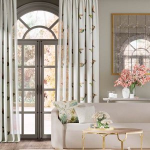 Viewing Amazilia by Harlequin