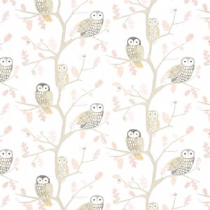 Viewing Little Owls by Harlequin