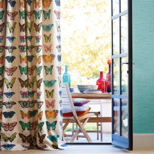 Viewing Papilio by Harlequin