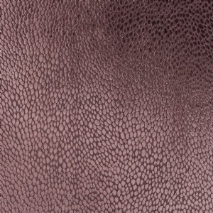 Viewing Splendido by JAB