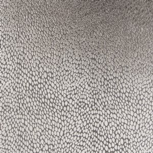 Viewing Splendido by JAB