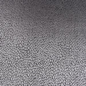 Viewing Splendido by JAB