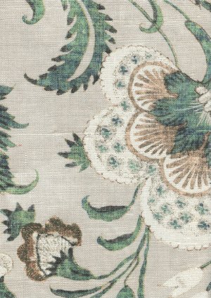 Viewing Coromandel by Lewis & Wood