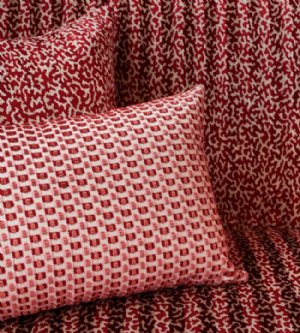 Viewing Apolline by Manuel Canovas