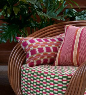 Viewing Frida by Manuel Canovas