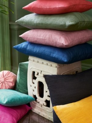 Viewing Iris by Manuel Canovas