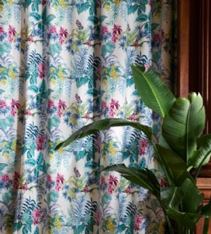 Viewing Olympia by Manuel Canovas