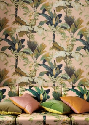 Viewing Salengro by Manuel Canovas