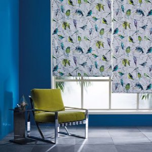 Viewing Aviary by Osborne & Little