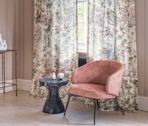 Viewing Herbaria by Osborne & Little