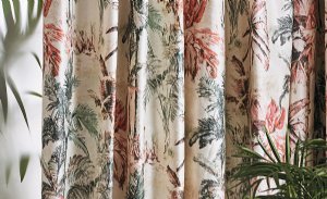 Viewing Japura by Romo