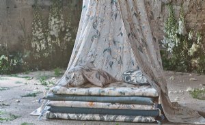 Viewing Wisteria by Romo