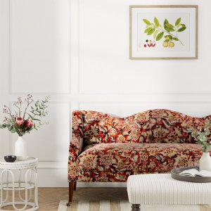 Viewing Amara Butterfly  by Sanderson