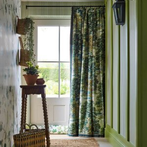 Viewing Ancient Canopy by Sanderson