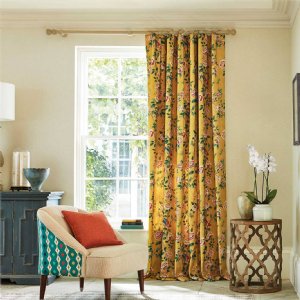 Viewing Andhara by Sanderson