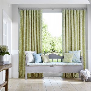 Viewing Armeria Trail by Sanderson