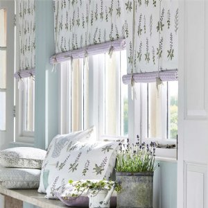 Viewing Bilberry by Sanderson