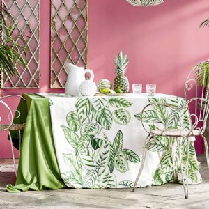Viewing Calathea by Sanderson