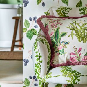 Viewing Enys Garden by Sanderson