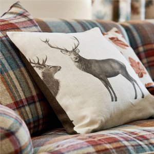 Viewing Evesham Deer  by Sanderson