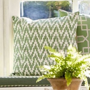 Viewing Fenne by Sanderson