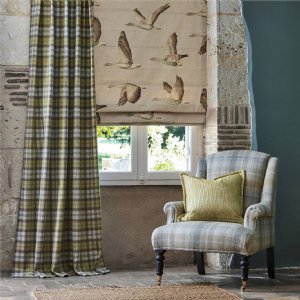 Viewing Fenton Check by Sanderson
