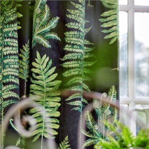 Viewing Fernery by Sanderson