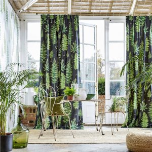 Viewing Fernery by Sanderson