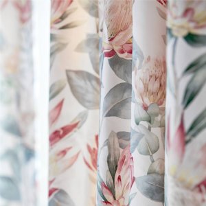 Viewing King Protea by Sanderson
