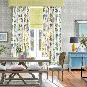 Viewing Paradesia by Sanderson