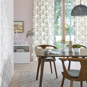 Viewing Crassula by Scion