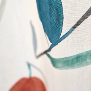 Viewing Oxalis by Scion