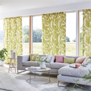 Viewing Parlour Palm by Scion