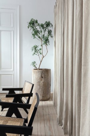Viewing Rocket by Today Interiors