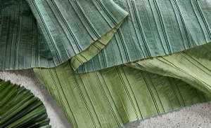 Viewing Aralia by Villa Nova
