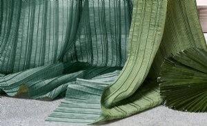 Viewing Aralia by Villa Nova