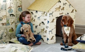 Viewing Walkies by Villa Nova