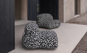Viewing Bertrand by Zinc
