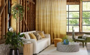 Viewing Meon by Zinc