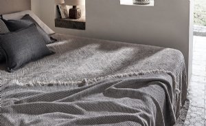 Viewing Sataria by Zinc