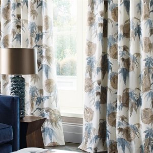 Viewing Acer by Zoffany