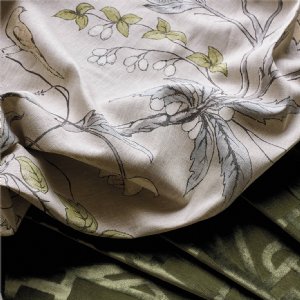 Viewing Chambalon Trail by Zoffany