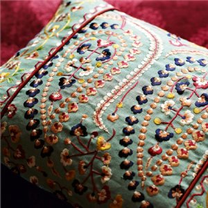 Viewing Jayshree by Zoffany