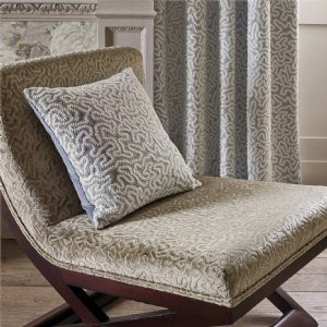 Viewing Maze Coral by Zoffany