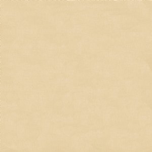 View  FRL0288 Straw