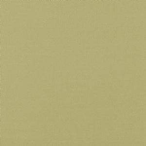 View 1149/172 Celery