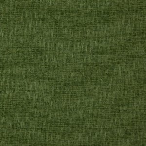 View 17 Olive