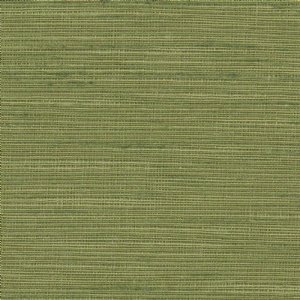 View 12 Olive