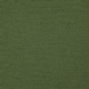 View 12 Chive