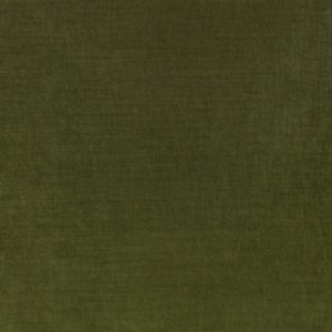 View Z642/11 Olive